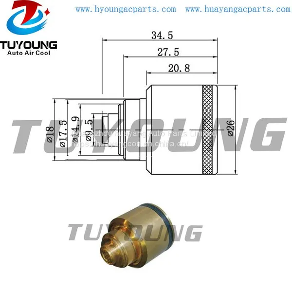 TUYOUNG HY-CR71 Ford Scroll Auto a/c pump control valve Jaguar S-Type XS4H-DE-19D629