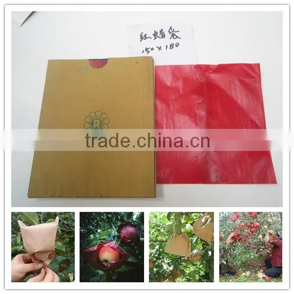 Hot Selling Apple Growing Paper Bag photo-2
