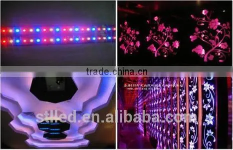 Star Product 5V 5050 Smd Ws2811 Magic Digital Dream Color Rgb Led Strip Light photo-2