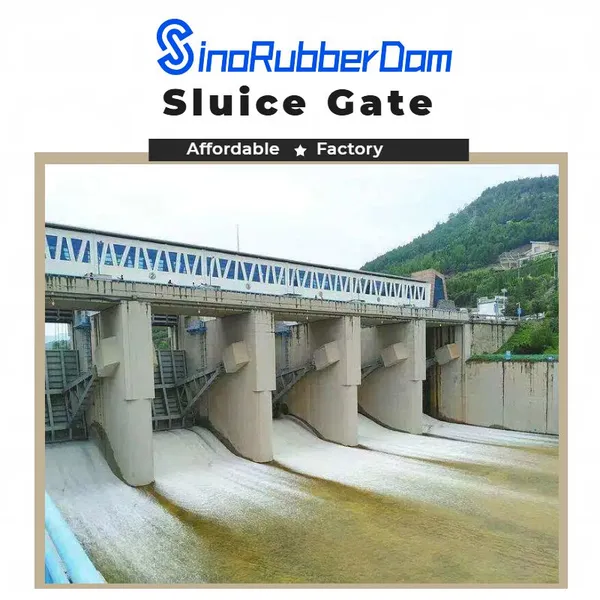Steel Sluice Gate for Reservoir Water Level Control photo-3