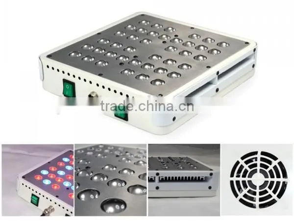 Hangzhou Factory 136w LED Grow Lighting,LED Grow Lights photo-4