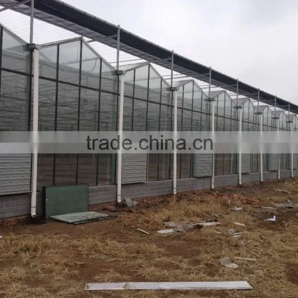 TH Centrifugal Double Shutter Exhaust Fan for Greenhouse and Poultry photo-5