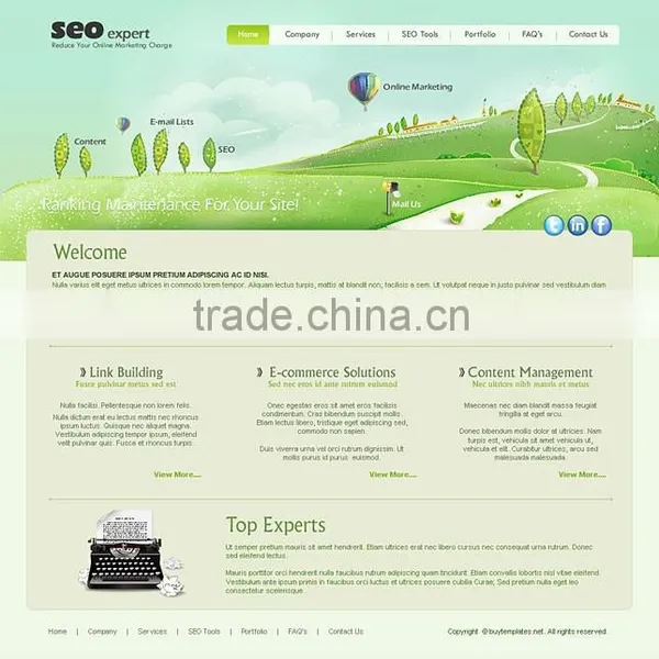 SEO Services and SMO Services photo-4