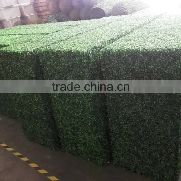 PE Material and Artificial Topiary Hedge Plant Type Outdoor Artificial Boxwood Hedge Quality Choice photo-4