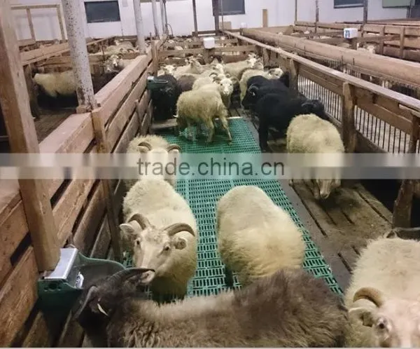 2016 Plastic Leak Dung Board for Farrowing Crate/goat Flooring photo-2