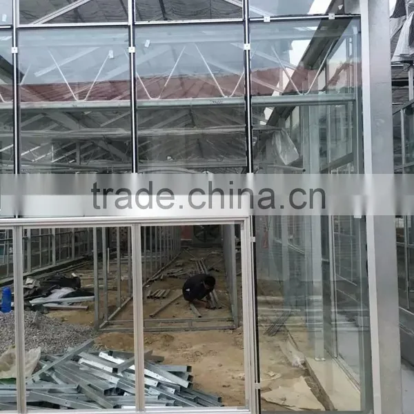 2016 New High Quality Toughened Glass Greenhouse for Arriculture