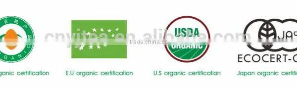 Chinese Organic Golden Pekoe Loose Leaf photo-4