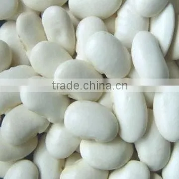 Chinese Large White Kidney Beans for Sale photo-4