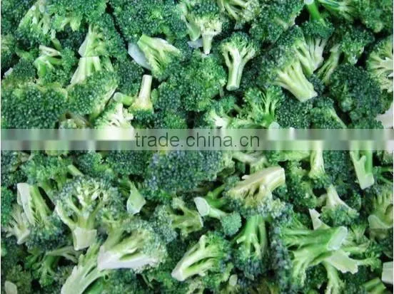 IQF Broccoli, Frozen Broccoli, Frozen Vegetables photo-2