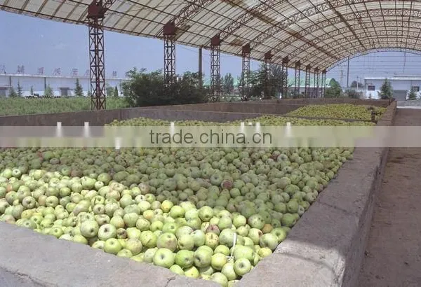 Apple Juice Processing Line photo-3