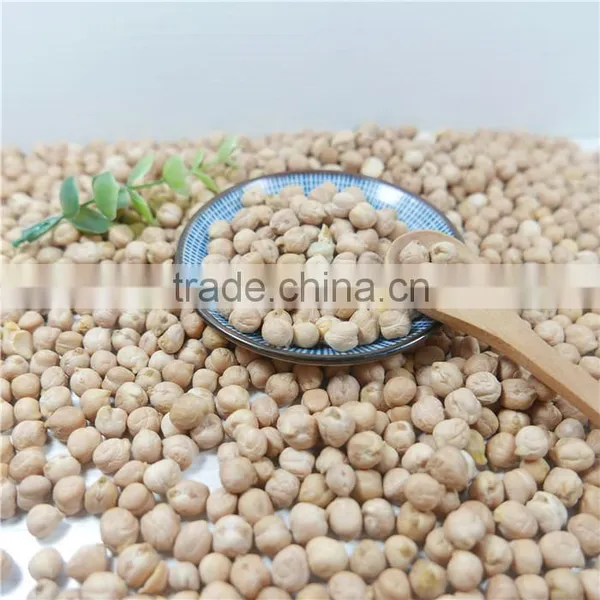 Good Manufacture of Chickpea Hot Sale photo-2