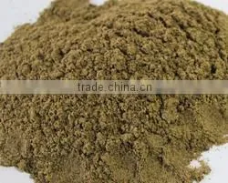 Fish Meal