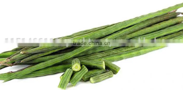 Drumstick Powder, Moringa Pods Powder photo-2