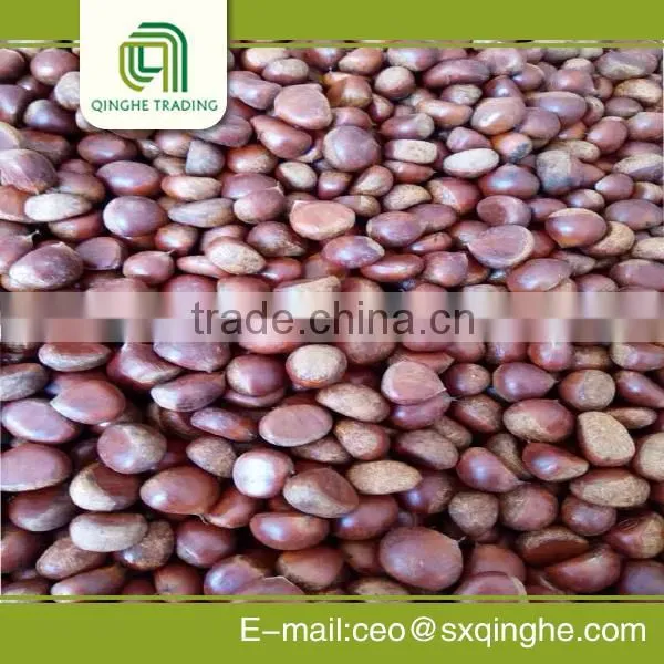 Fresh Chestnut Insell for Wholesales photo-2