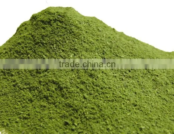 Moringa Oleifera Leaves Powder