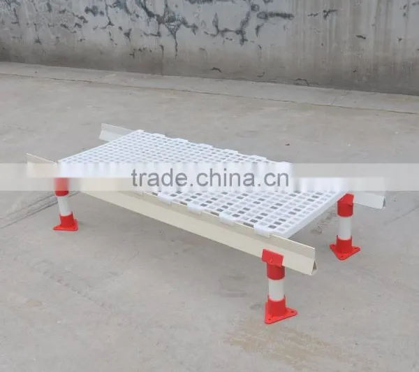 Russia Best Selling Plastic Slat for Duck Goose Poultry photo-2