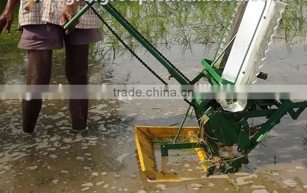 Most Famous Manual Rice Transplanter for the Indians photo-6