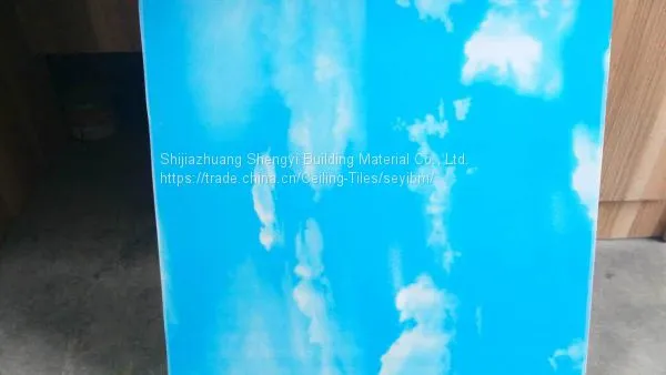 Paper Faced (Plaster Wall) /PVC Laminated Gypsum/Ceiling Gypsum Board photo-2