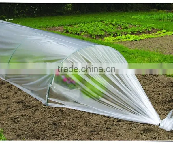 Heat UV Resistant Protection Clear Plastic Greenhouse Film photo-3