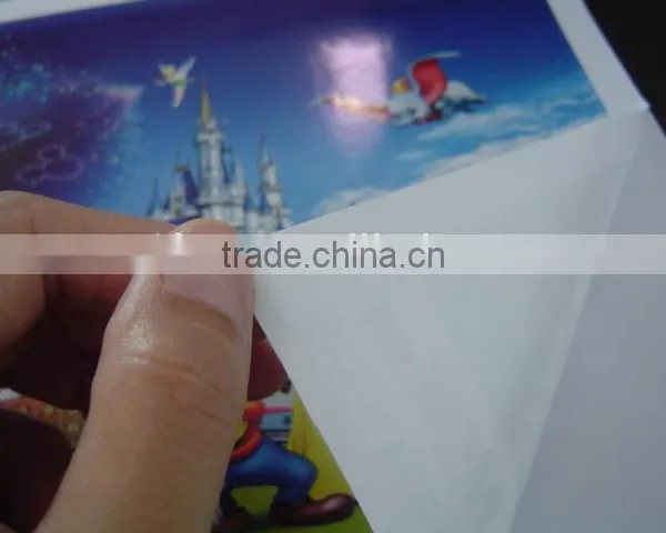 Self Adhesive Vinyl SAV140 photo-5