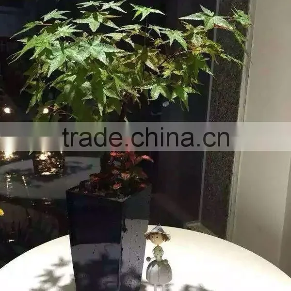 Made in China Round Baking Finish Self-watering Planters photo-6