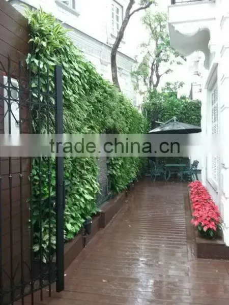 Vertical Garden Wall