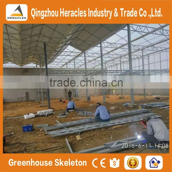 Factory Price Trade Assurance Greenhouse Equipment- Plastic Sheet Agricultural Greenhouse From China Supplier photo-5