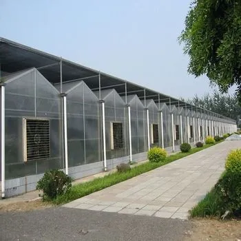 Seedling Greenhouse Covered by PC Sheet photo-5