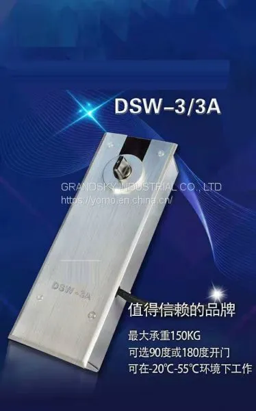 Automatic Ground Spring Swing Door DSW-3 photo-3