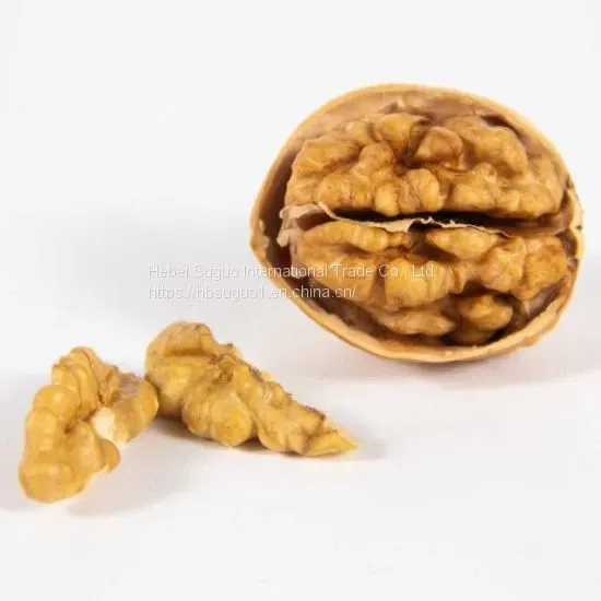 White Half Cut Kernels & Light White Walnut Kernel & Balanced Walnut Kernel & Nut