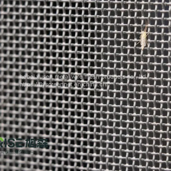 security screen
