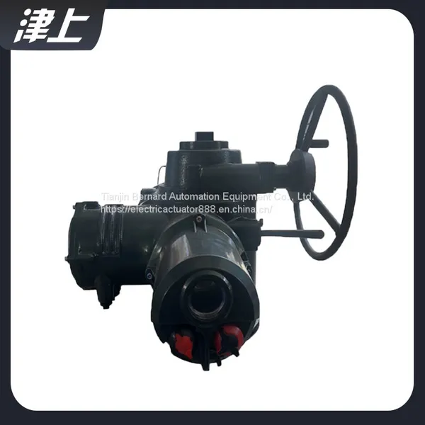 Multi Turn Electric Actuator IQM10 Bluetooth Control Bus Protocol photo-3