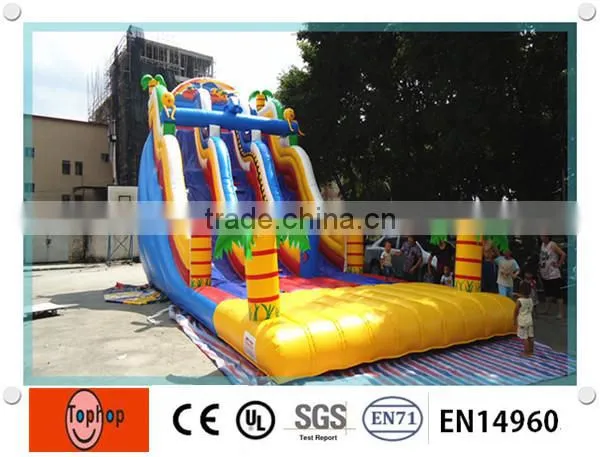 Most Fascinating Inflatable Slide Type Inflatable Double Lane Slip Slide photo-6