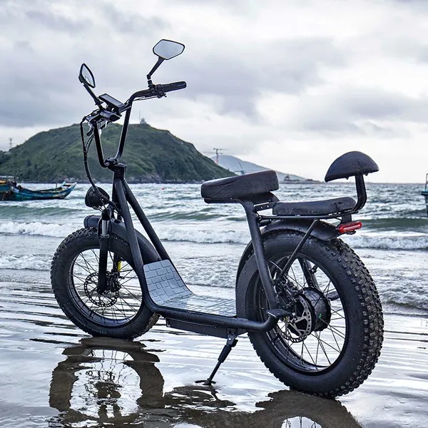 Two Wheels 1000W 20inch Fat Tire Electric Scooter photo-2