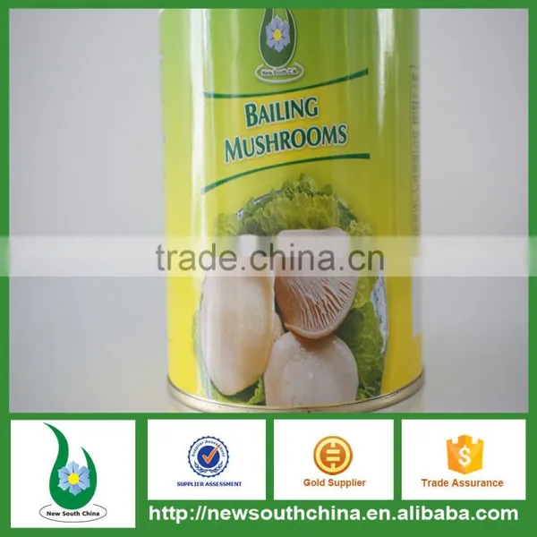 Best White Bailing Mushroom for Sale photo-3