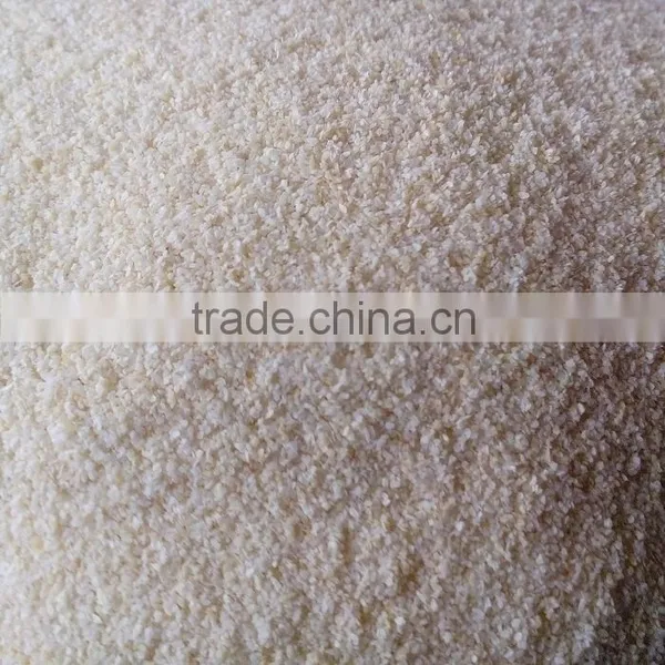 China High Quality Dehydrated Garlic Granules for EU Market