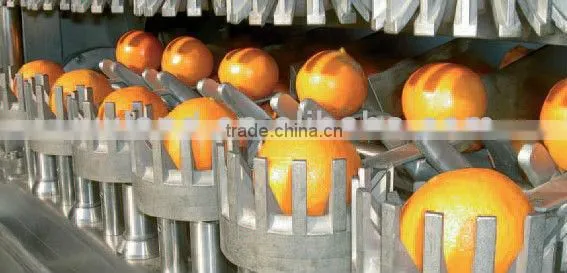 fruit paste production line