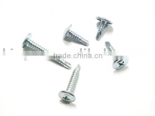 Tapping Screw