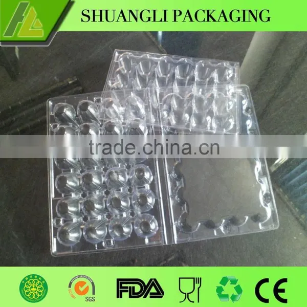 24 Holes Rectangular Clear Transparent Plastic Quail Egg Cartons photo-4