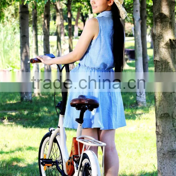 Mini,20 Inch Front Wheel Hub Motor 350 Watt Electric Bike Conversion Kit 36v Battery photo-4