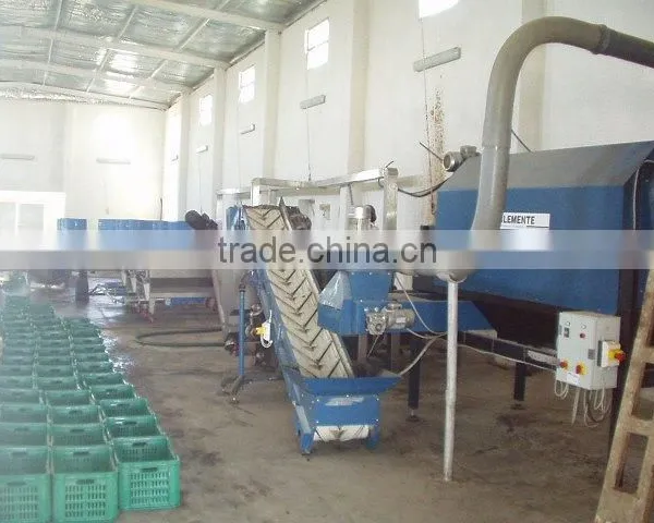 Extra Virgin Olive Oil Pressing Unit