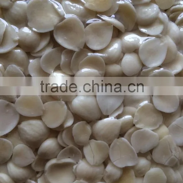 Supply Good Quality Blanched Apricot Kernels Guangzhong Type photo-3