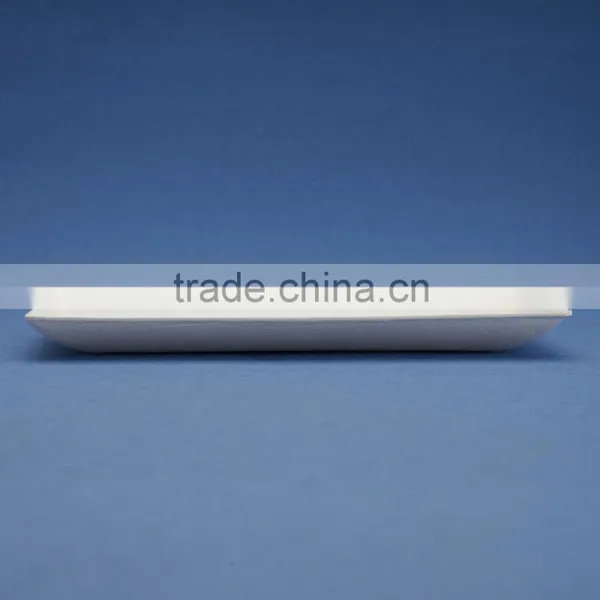F1-PL-07-R 7*3.5 Inches Bleached Disposable Flate Rectangle Shape Sugarcane Dinner Plates photo-2