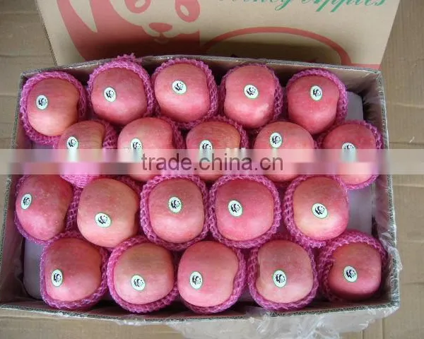 Fresh Apple Fruit Packaging