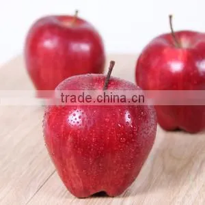 Fresh Huaniu Apple From Gansu Province Fresh Huaniu Apple photo-2
