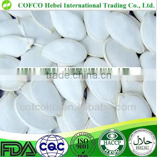Wholesale Price Pumpkin Seeds photo-2