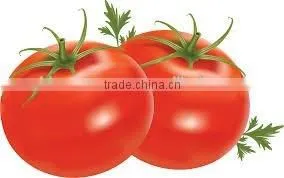 Certifications Red Colour High Quality Sachat Tomato Paste photo-4