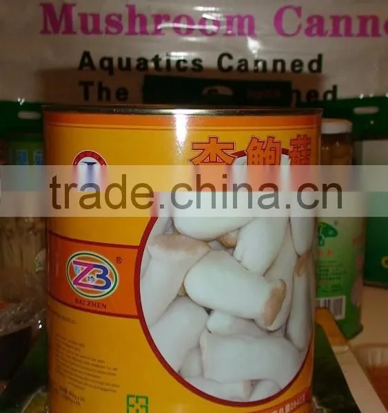 Canned Pleurotus Eryngii photo-4