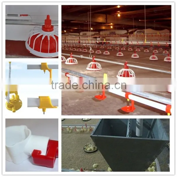 Auger Poultry Broiler Feeding System photo-3