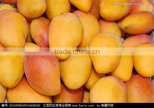 Ethephon, Mango Ripener photo-3
